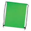 Bright Green Wilston Drawstring Backsacks